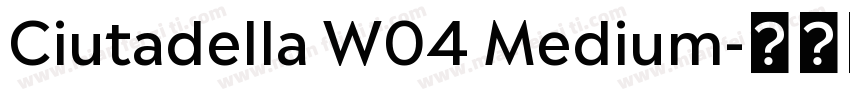 Ciutadella W04 Medium字体转换